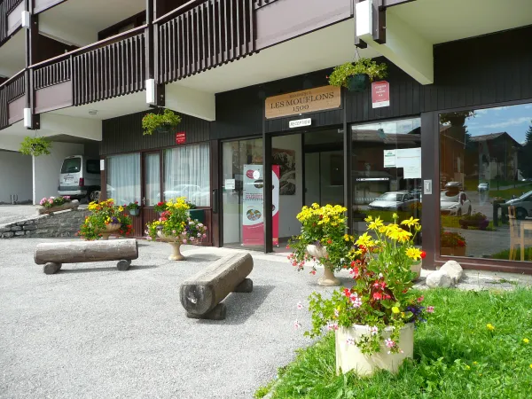 Les Mouflons I - 35 m² - n°649