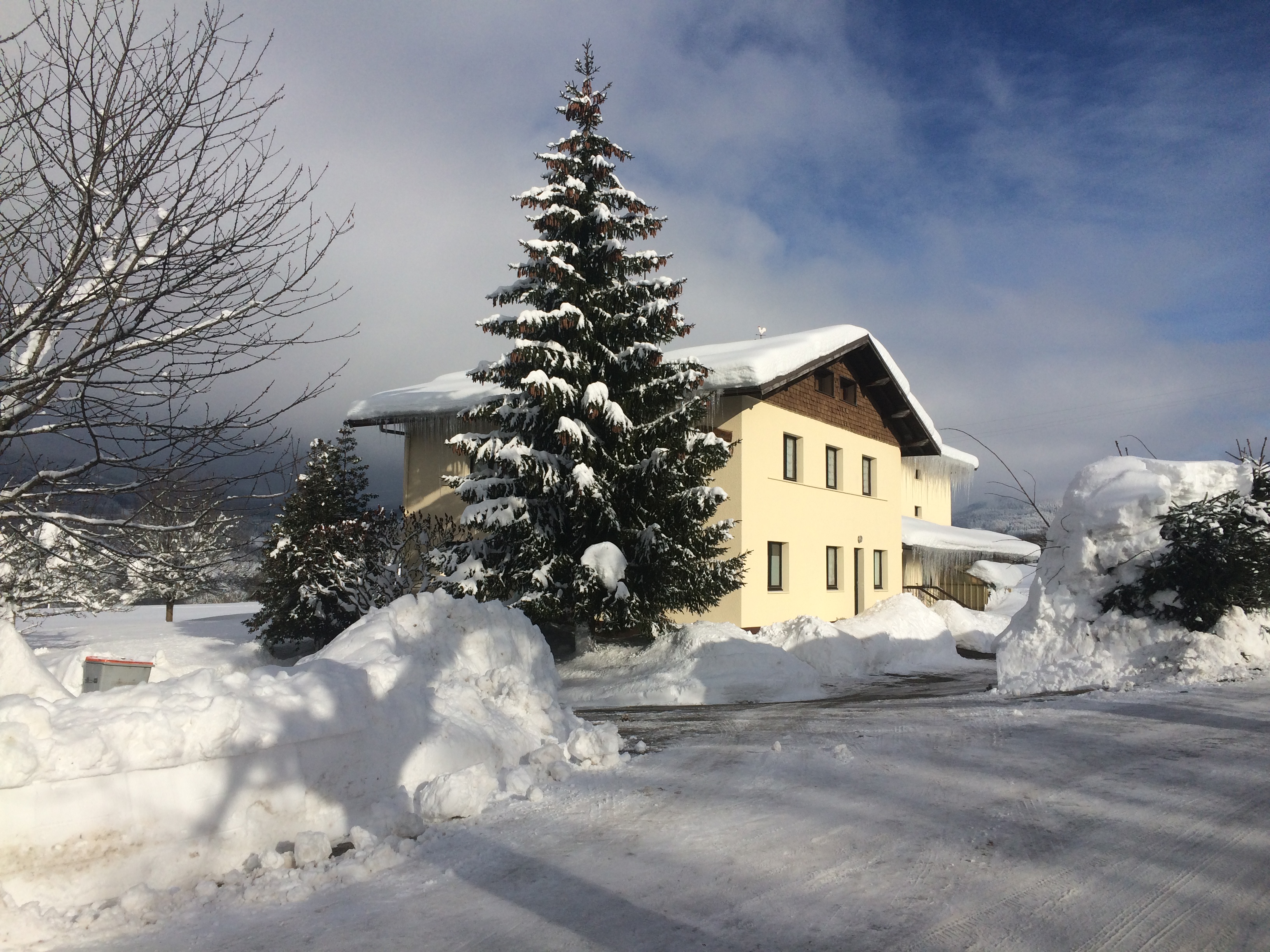 Les Gentianes Hiver
