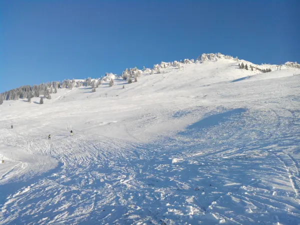 Depuis les pistes vue sur le haut du domaine