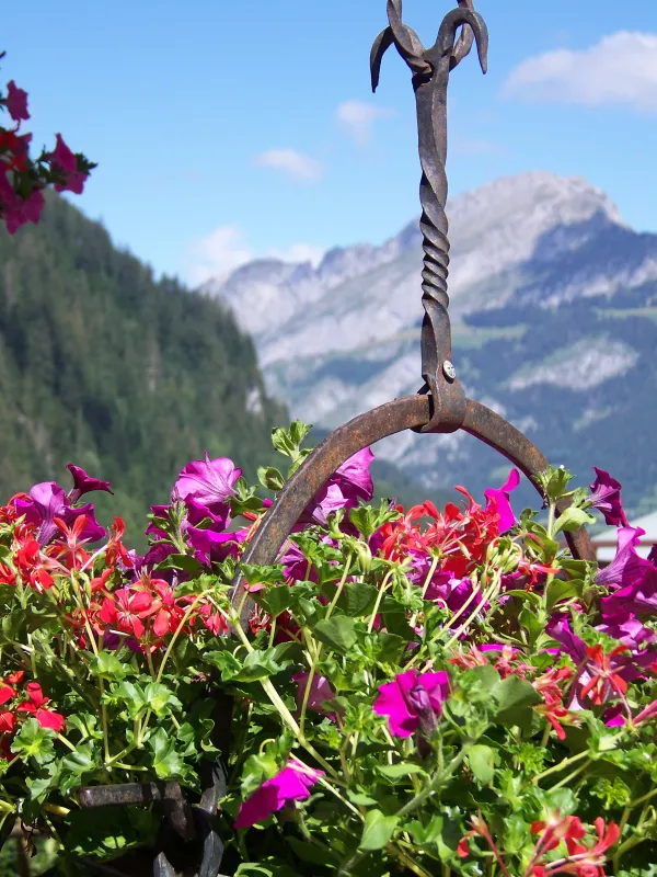 Vue sur les montagnes avec fleurs au premier plan