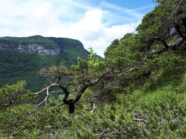 Point de vue