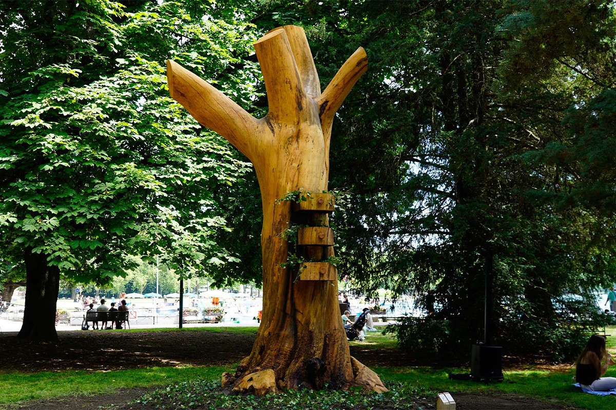 Les Ressources de Bob Verschueren - Annecy Paysages à Annecy