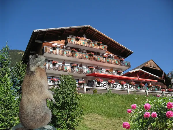 Hôtel Les Triolets