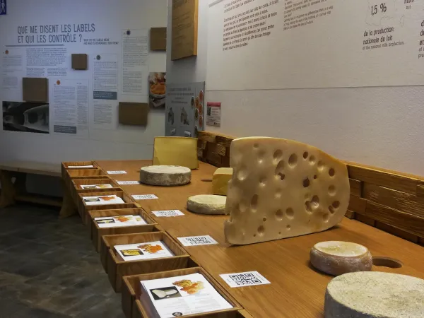 Maison du Fromage Abondance