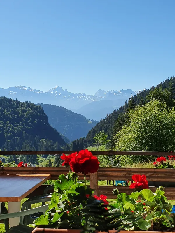 Vue de la terrasse
