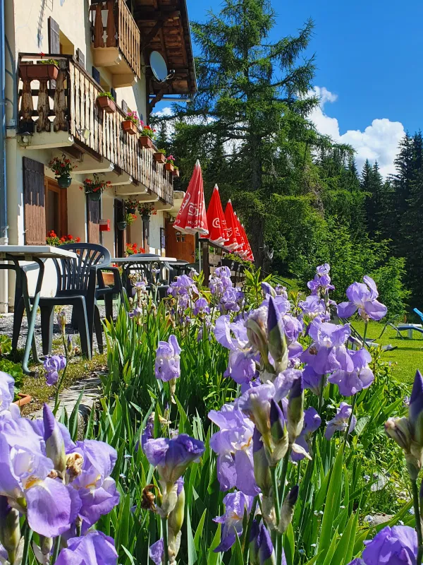 Terrasse en été