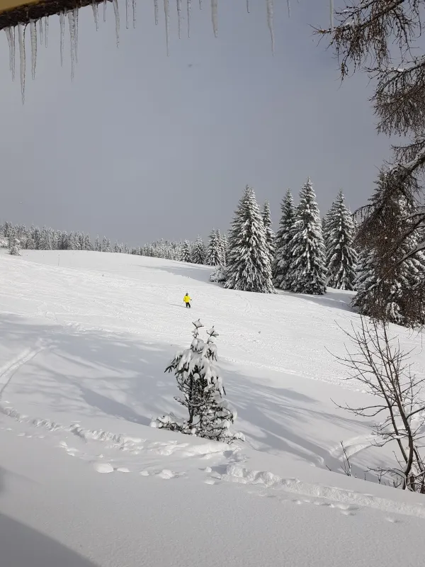 Pistes en hiver à côté de l'hôtel