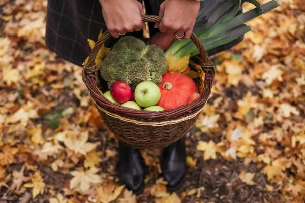 Panier légumes