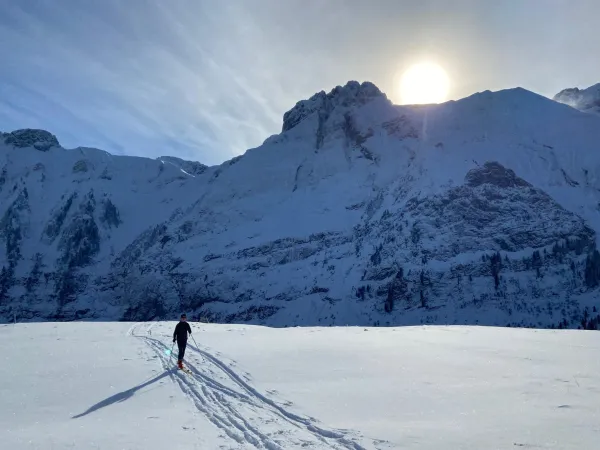 Ski de randonnée