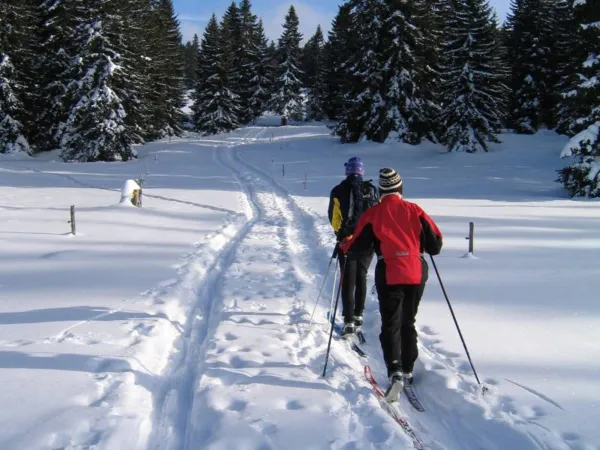 Itinéraire nordique Col du Feu - Foyer des Moises