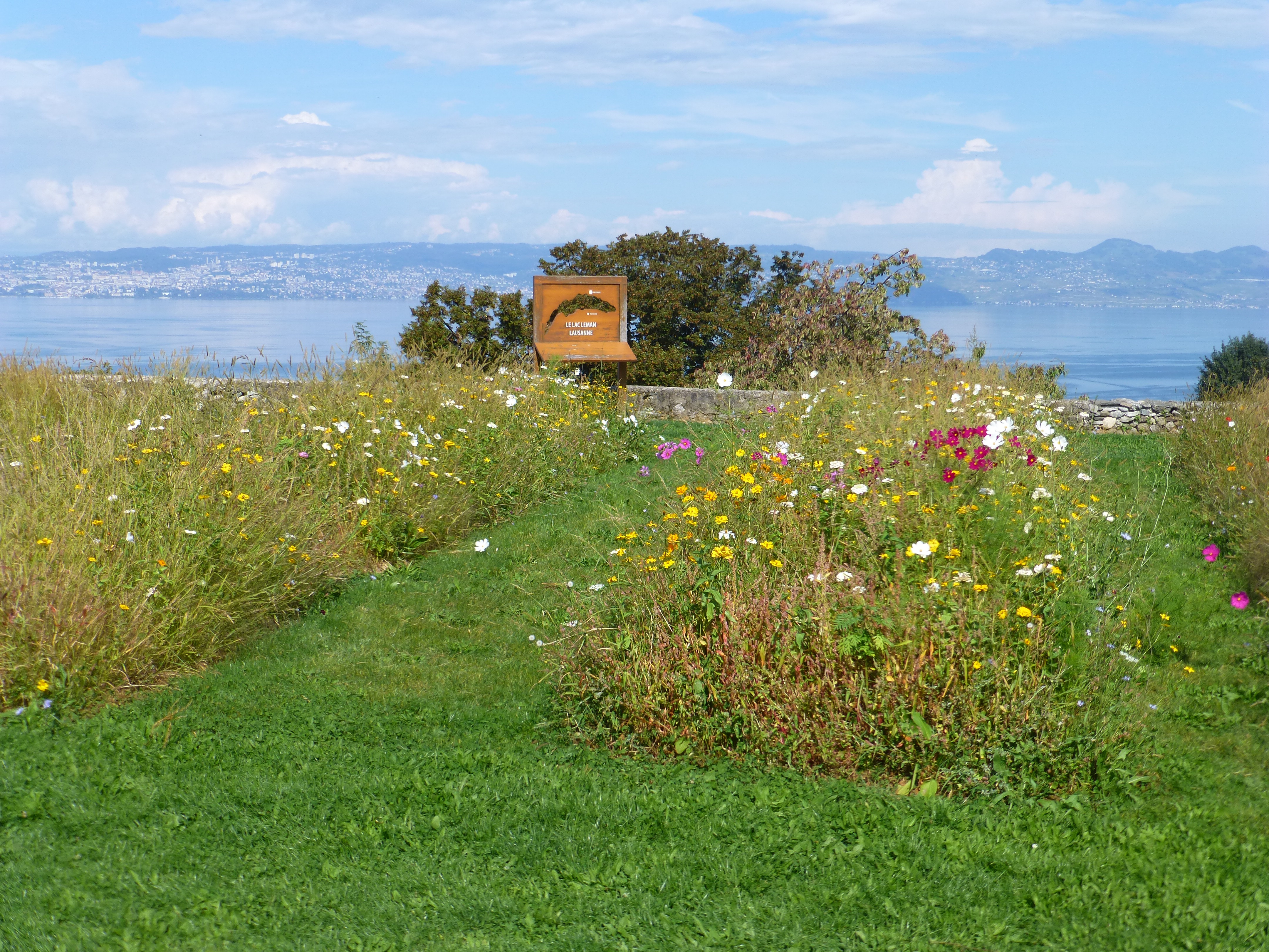 Itinéraire pédestre : A la découverte du parc de Neuvecelle à Neuvecelle