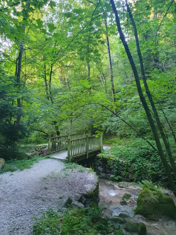 Itinéraire pédestre : Le chemin des Rosaires