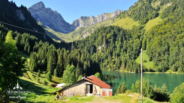 Itinéraire pédestre : Boucle du lac des Plagnes et lac de Tavaneuse