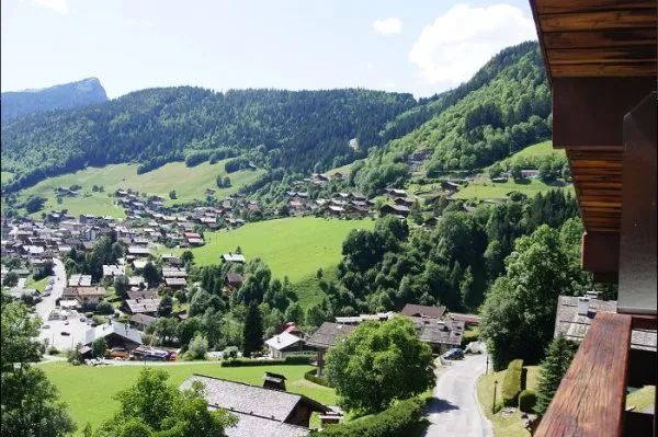 Vue été/<Summer view-Merisier-Le Grand-Bornand