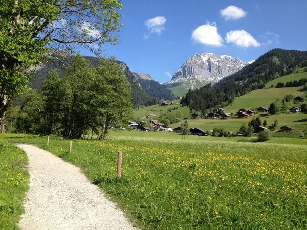 Itinéraire pédestre en bord de Dranse : De La Chapelle d'Abondance à Abondance