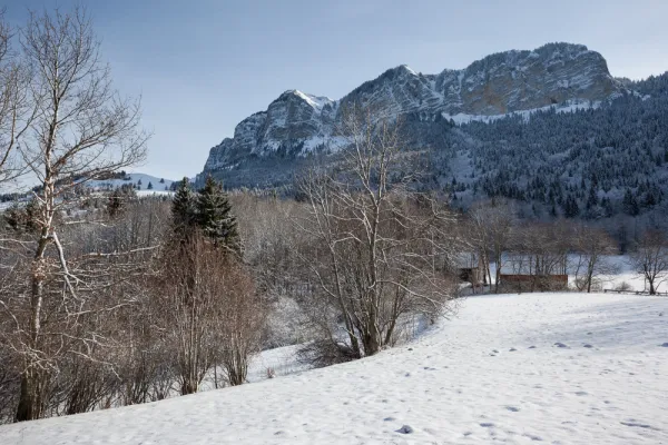 Itinéraire raquettes : l'Alpage de Lain