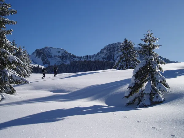 Itinéraire piétons / raquette " Boucle de Dran" Plateau des Glières
