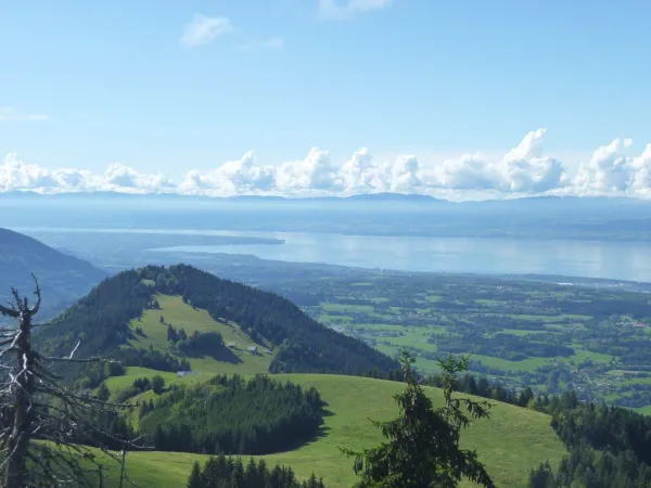 Mont Baron