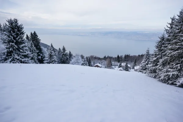 Itinéraire raquettes : autour de Thollon