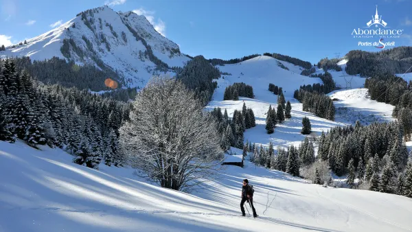 Itinéraire raquettes : Versant forestier