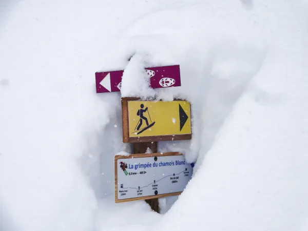 Itinéraire ski de randonnée : la grimpée du chamois blanc
