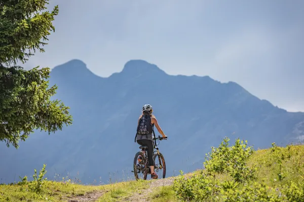Itinéraire VTT n°55 - Rochebrune