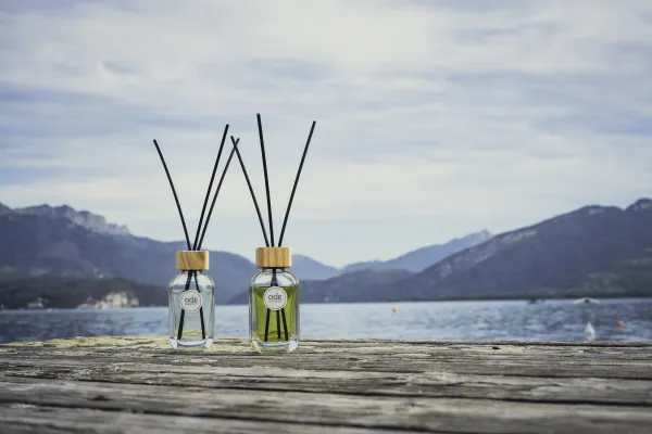 Ode Annecy