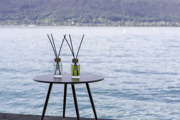 Ode Annecy