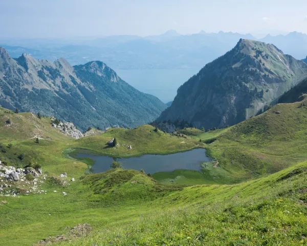 Office de tourisme pays d'Evian vallée d'Abondance - Leman Mountains Explore