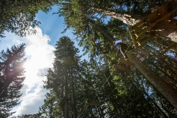 Parc Aventure Accrobranche