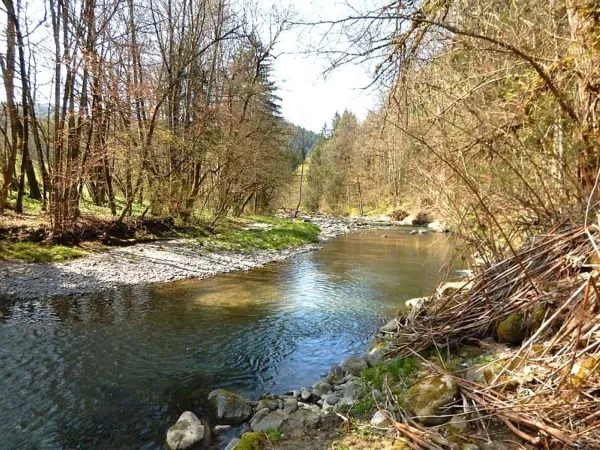 Parcours pêche à la mouche, La Menoge en Vallée Verte