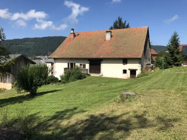 epervier_blanc_haberepoche
