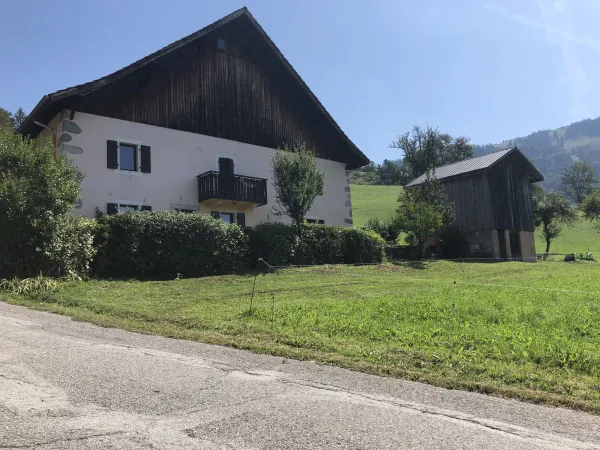 epervier_blanc_haberepoche