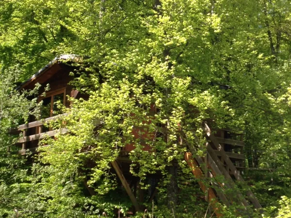 La Cabane dans les arbres